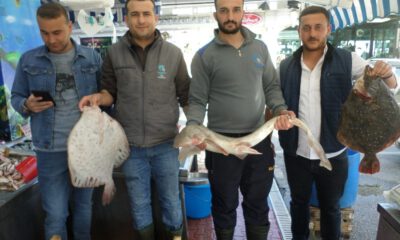 Av Mevsiminin Sonu Yaklaşırken Balık Bollaştı