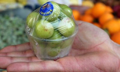 Meyveler cep yaktı