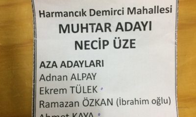 Oy Pusulasındaki Hata Yüzünden Kazandığı Seçimi Kaybetti