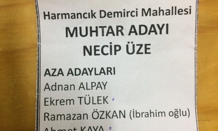 Oy Pusulasındaki Hata Yüzünden Kazandığı Seçimi Kaybetti