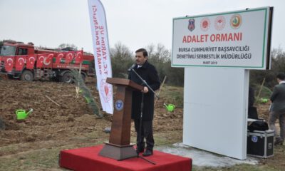 İmralı’ya 42 Bin, Bursa’ya 30 Bin Adalet Fidanı…