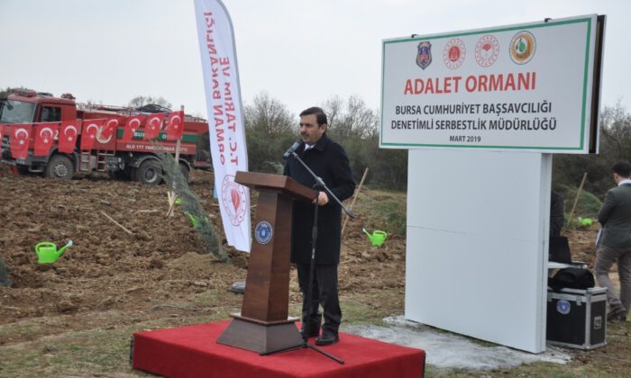 İmralı’ya 42 Bin, Bursa’ya 30 Bin Adalet Fidanı…