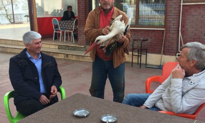 Yaralı Leyleğe Çiftçi Şefkati
