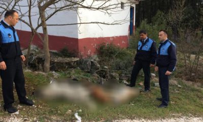 Bir vahşet de Bursa’da!