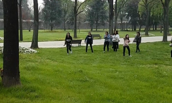 Parkta Sincap Gören Gençlerin Şaşkınlığı Kamerada
