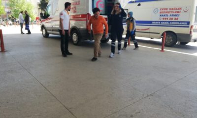 Başı Boş Köpeklerinin Saldırısına Uğradı