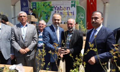Çiftçi Yaban Mersini İle Kalkınıyor