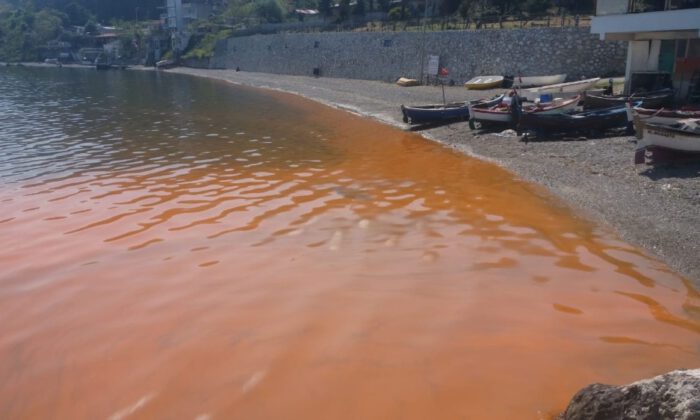 Bursa’da Deniz Kızıla Boyandı, Uzmanlar Açıklama Yaptı!