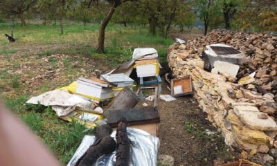 Uludağ’da Ayılar Bu Köye Dadandı