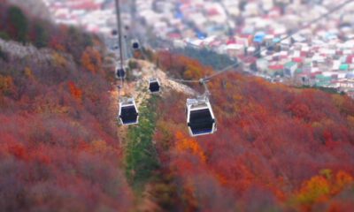 Teleferik’te Bakım Çalışmaları Bitti, Uludağ’a Seferler Başladı