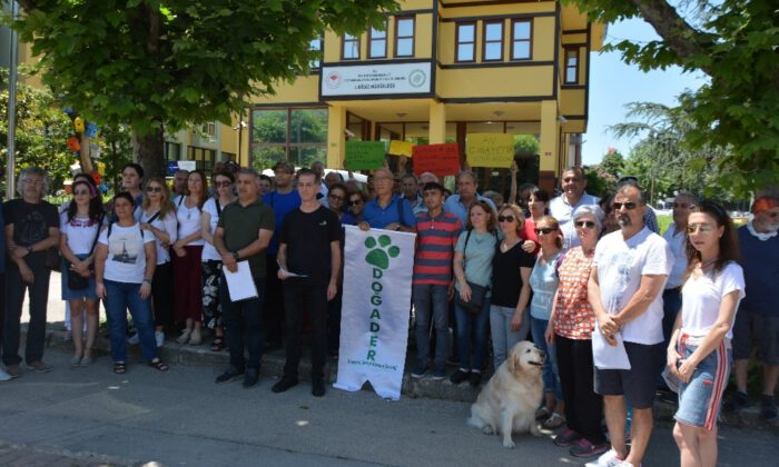Turizm İçin Geyiklerin İhaleye Çıkmasına Tepki