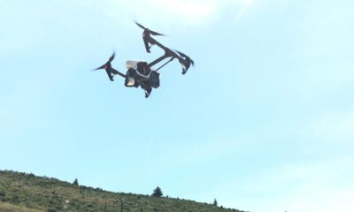 Bursa Kestanesi Drone İle Korunacak