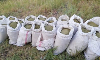 PKK’nın finans kaynağına darbe