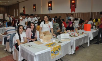 Meslek Liseliler Yaptıkları Oyuncakları Görücüye Çıkardı