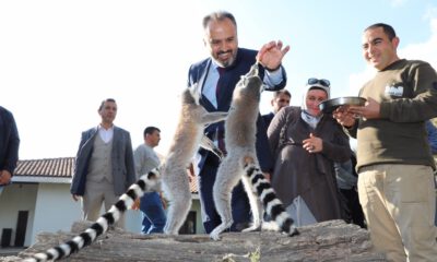 Hayvanat Bahçesi’nde Bayram Rekoru