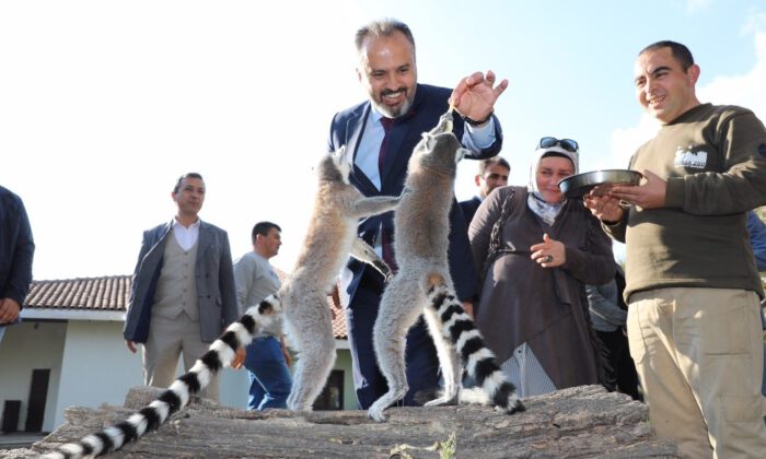 Hayvanat Bahçesi’nde Bayram Rekoru