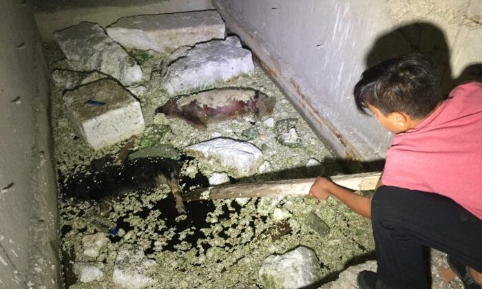 Çocuklar Buldu…Bursa’da Esrarengiz Olay