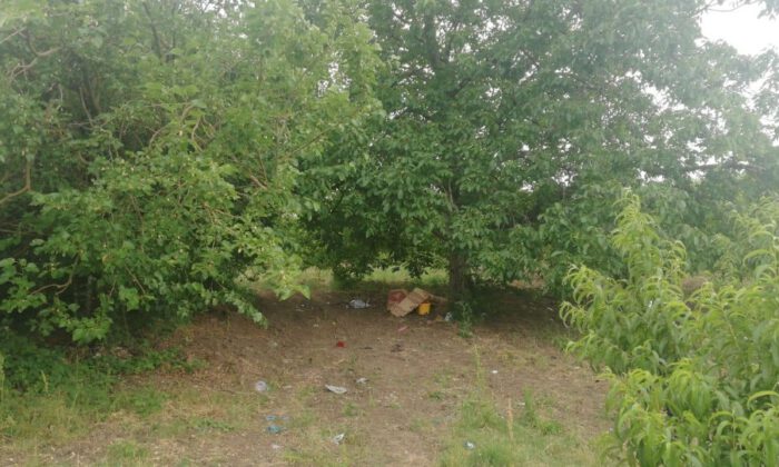 Piknik Yaparken Üzerine Yıldırım Düştü