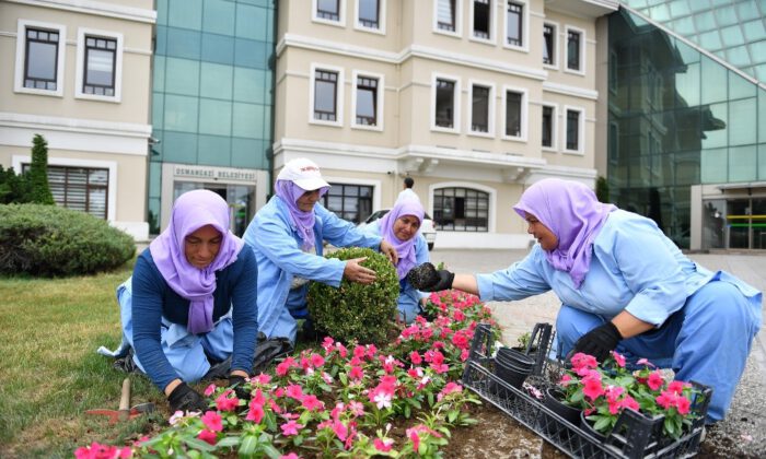 Osmangazi 200 Bin Çiçek İle Renklenecek