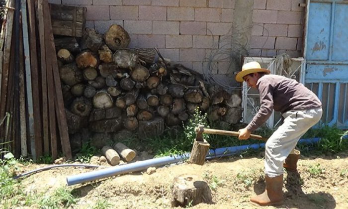 Hem hayvanlara baktı hem LGS’de birinci oldu