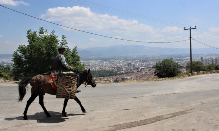 82’lik Atlı Dededen Organik Sebze Servisi