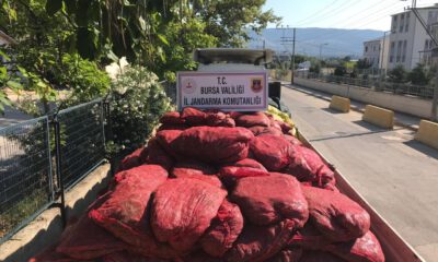 Bursa’da 12 Ton Kaçak Midye Ele Geçirildi