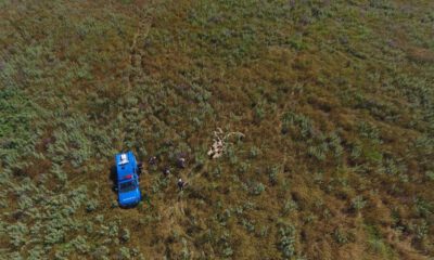 Kayıp Koyunları Jandarma Drone İle Buldu