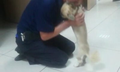 Köpeğine Böyle Kavuştu