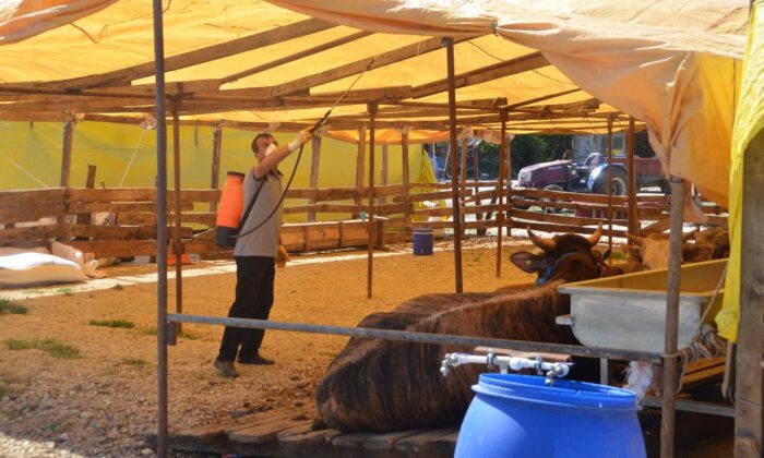 Gemlik Kurban Pazarı Yeniliklerle Açıldı