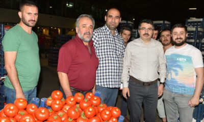 ‘Hal’de sabah mesaisi