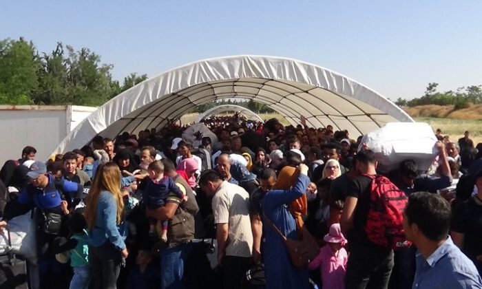 Suriyelilerin bayram yolculuğu başladı