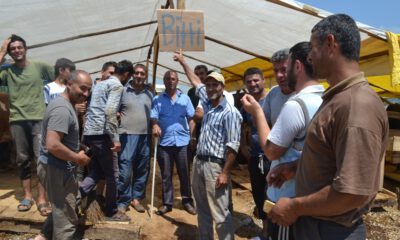 Kurban Pazarında Hayvanlar Erken Tükendi