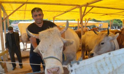 Mudanya’da Kurbanlıklar Satışa Sunuldu