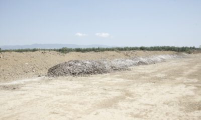 Ovaya Dökülen Tavuk Gübresi Bıktırdı