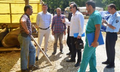 Belediye’den Kurban Pazarına Ücretsiz Ulaşım