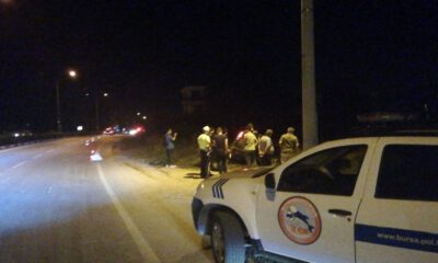 Ehliyetsiz Sürücü Panik Yapınca Olanlar Oldu