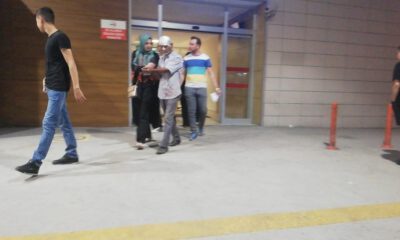Şeftali Toplarken Ağaçtan Düştü