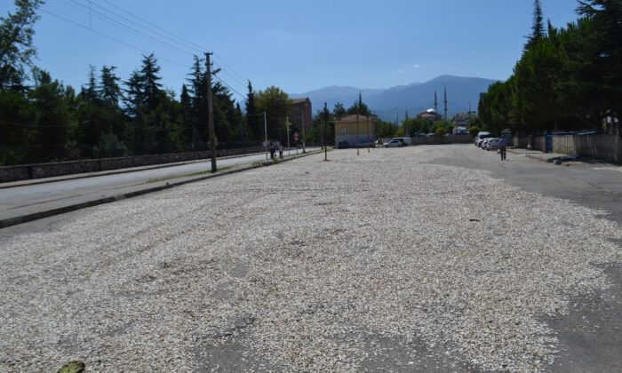 Bu Çekirdek Çifte Değil Yolda Kavrulmuş