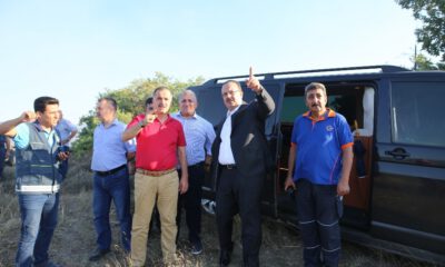 50 Hektar Ormanlık Alan Yangında Zarar Gördü
