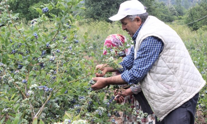 Dağ Köyünün Yüzünü Güldürdü…
