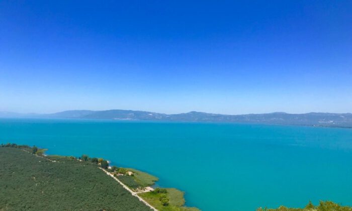 Göl Raporu Açıklandı, Turkuaz Renk Normal