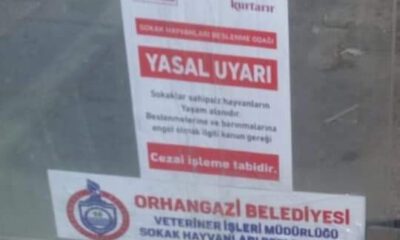 Orhangazi’de Sokak Hayvanları Sahipsiz Değil