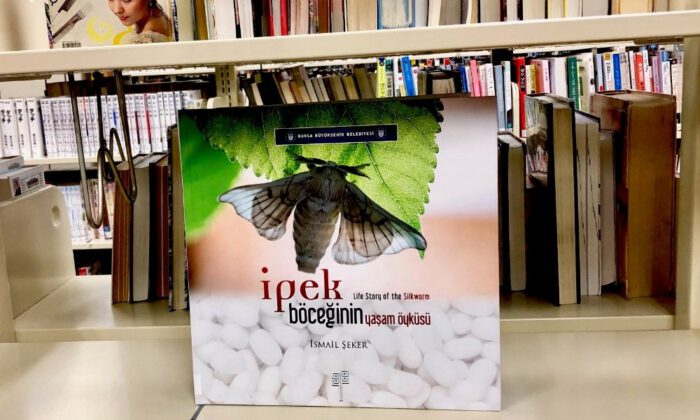 İpek Böceğinin Hayat Hikayesi ABD’de
