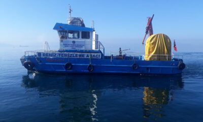 Deniz Süpürüldü, Sahil Temizlendi