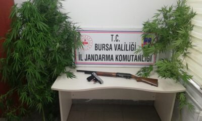 Uyuşturucu Tacirlerine Geçit Yok