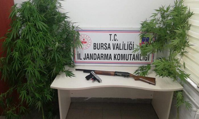 Uyuşturucu Tacirlerine Geçit Yok