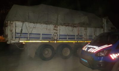 Jandarma 20 Ton Kaçak Tomruk Ele Geçirdi