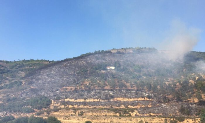 Bursa’da Korkutan Orman Yangını