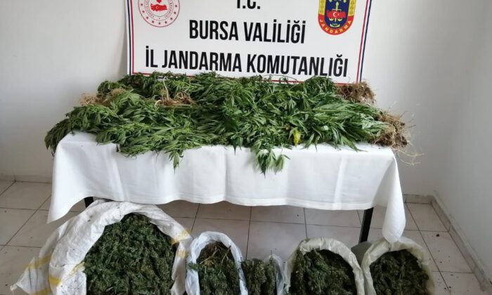 Jandarmadan Zehir Tacirlerine 12 Ayrı Operasyon