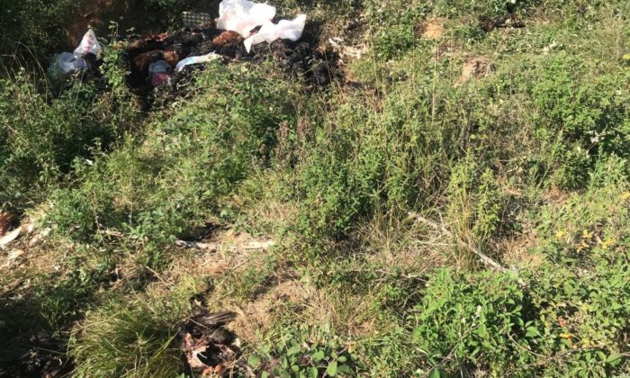 Bursa’da Arazide Binlerce Ölü Tavuk Bulundu